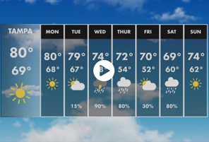 Weather Forecast (Video)